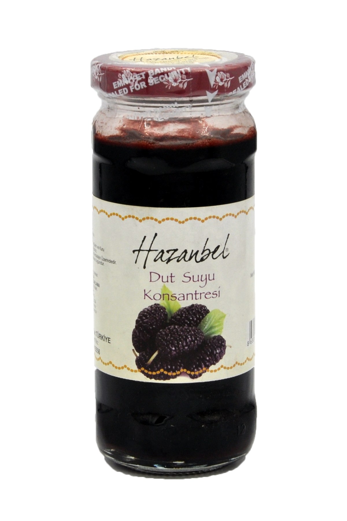 Hazanbel Dut Suyu Konsantresi 280 G - 1